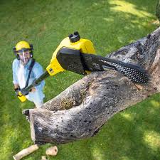 Best Tree and Shrub Care  in Galax, VA